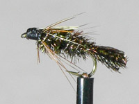 Fly Comp Winner Aug 2013 - Rick Gerard